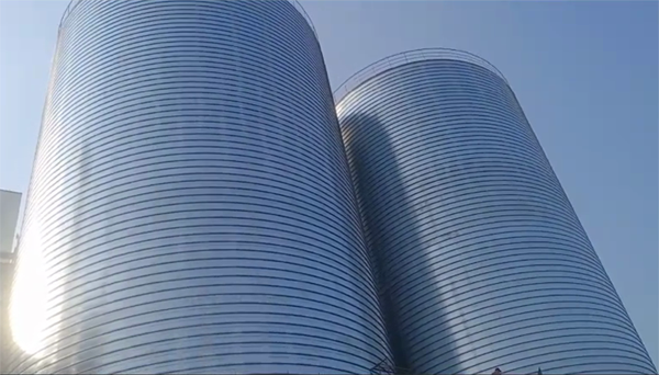 峄城2座混凝土高架卷板仓